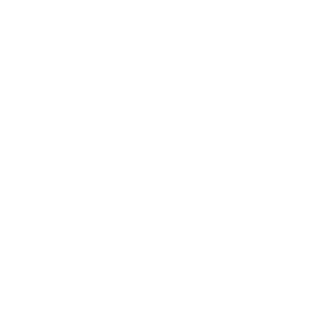NICE BBQ